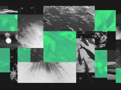 How darkening oceans could impact the entire marine food chain