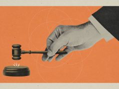 Judges and unduly lenient sentences