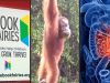 Orangutan uses a human-made bridge: The Week’s Good News