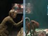 Movies to watch in May