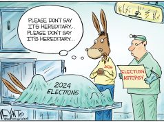 5 bipartisan cartoons about midterm election worries