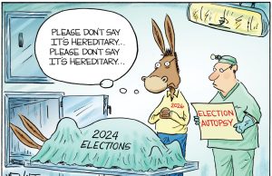 5 bipartisan cartoons about midterm election worries