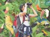 Colombia: the world capital for birdwatching