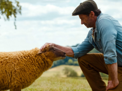 The Sheep Detectives: ‘ludicrous’ cosy crime caper