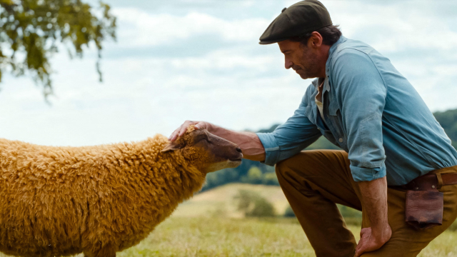 The Sheep Detectives: ‘ludicrous’ cosy crime caper
