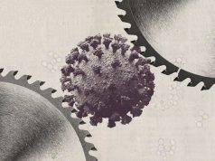 A plastic film could rip apart viruses