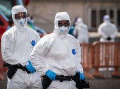 The hantavirus Andes strain: can it be contained?