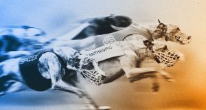 Who will win the AI IPO race between SpaceX, Anthropic and OpenAI?