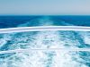 Why do Americans love cruises despite viral outbreaks?