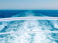 Why do Americans love cruises despite viral outbreaks?