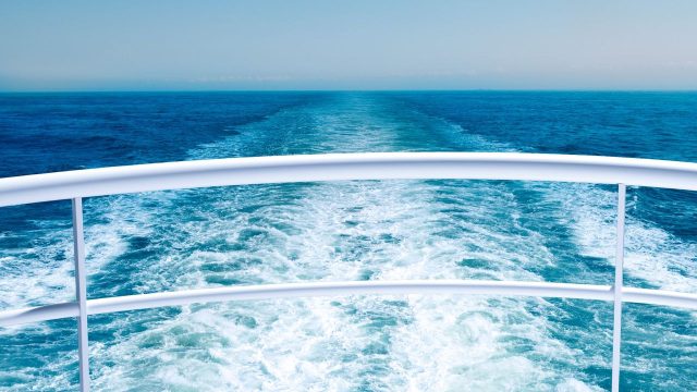Why do Americans love cruises despite viral outbreaks?