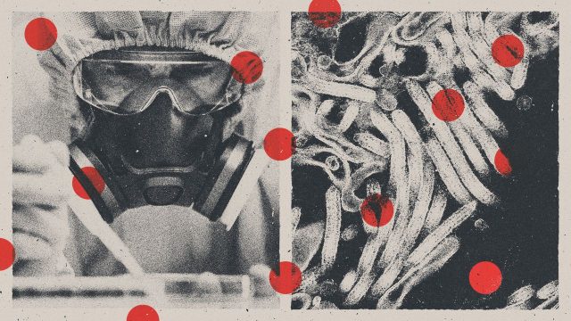How worrying is the Ebola outbreak?