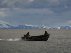 ‘In an increasingly unstable world, climate targets have slipped from view’