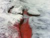 Lecture— “Ecomythologies: Ana Mendieta and the Cuban Imaginary”