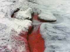 Lecture— “Ecomythologies: Ana Mendieta and the Cuban Imaginary”