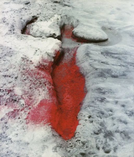Lecture— “Ecomythologies: Ana Mendieta and the Cuban Imaginary”