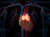 This small, long-ignored organ plays a big role in health outcomes