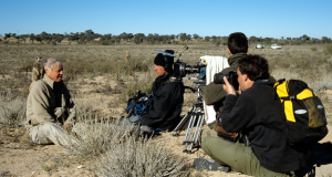 The best David Attenborough documentaries of all time
