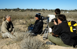 The best David Attenborough documentaries of all time