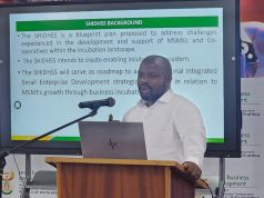 University of Venda Participates in the DSBD Sector-Focused and Hybrid Incubation and Digital Hub Support Strategy