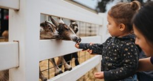 Best city farms in the UK