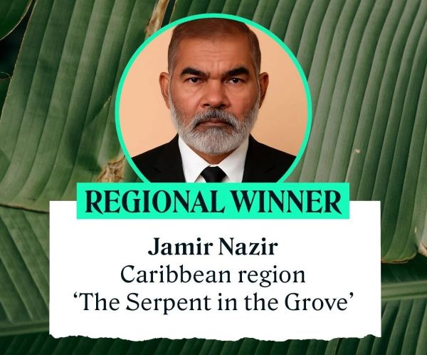 Commonwealth short story winner accused of using AI