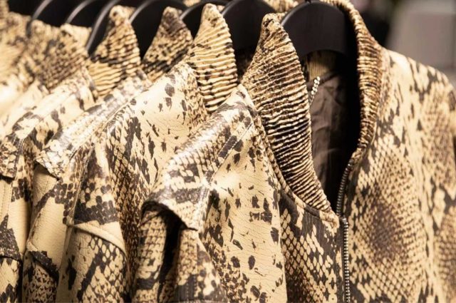UK’s BioFleax debuts in Stella McCartney x H&M collection