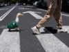 Duck, duck, goal: bird dressed in Mexico’s World Cup jersey scores on social media