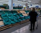 ‘Immediate national priority’: ministers accused of complacency over UK food supply
