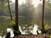 Cruising eastern India’s mangroves