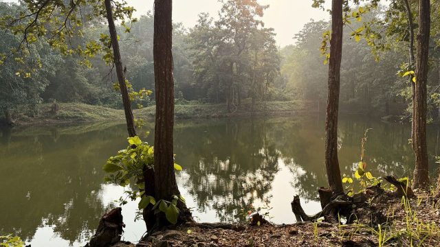 Cruising eastern India’s mangroves
