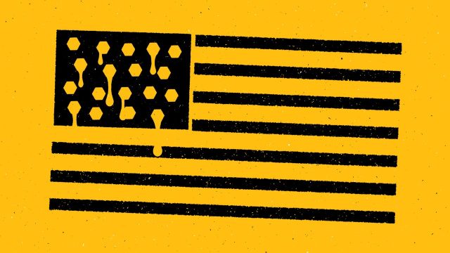 US honey production is in a sticky situation