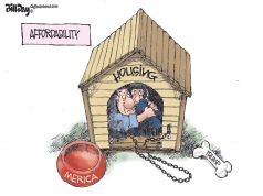 5 flat-broke cartoons about the affordable housing bill