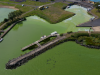 The growing problem with toxic algae