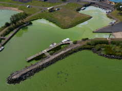 The growing problem with toxic algae