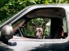 The Week contest: Firearm Fido