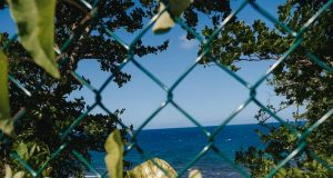 Jamaican beach access campaigners go to court to fight privatization of coast