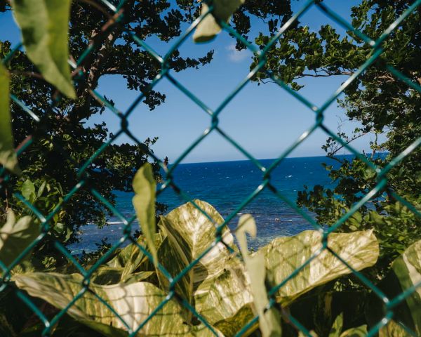 Jamaican beach access campaigners go to court to fight privatization of coast