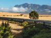 An epic train journey into the Namib Desert