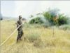 6/13/2026: News: Blaze brought under control in 90 minutes