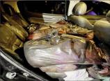 6/13/2026: News: Nearly two tonnes of smuggled meat seized