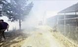 6/13/2026: News: Fire threatens Taşkent Nature Park
