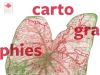 Exhibition: “Martinique, Cartographies intimes”