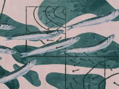 The global anchovy crisis