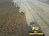 ‘Super’ El Niño could cause global food price shock lasting into 2028, analysts say