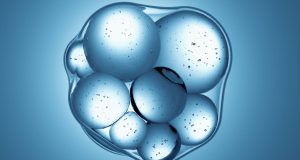New synthetic cells tiptoe toward creating life