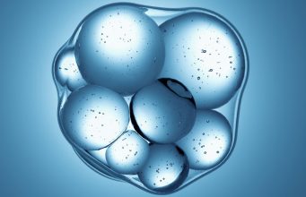 New synthetic cells tiptoe toward creating life