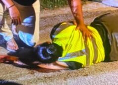 Elderly Santa Elena woman seriously injured in Hillview Hit-and-Run; driver reportedly released on bail