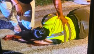 Elderly Santa Elena woman seriously injured in Hillview Hit-and-Run; driver reportedly released on bail