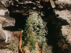 Exhibition: “Ana Mendieta”